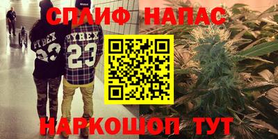 дживик Кингисепп