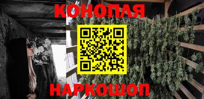 дживик Кингисепп