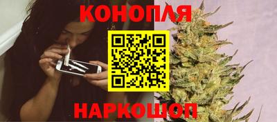 гашик Кимры