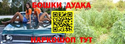 дживик Кингисепп