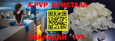 дживик Кингисепп