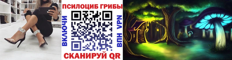 blacksprut   дарнет шоп  Кострома  Псилоцибиновые грибы GOLDEN TEACHER 