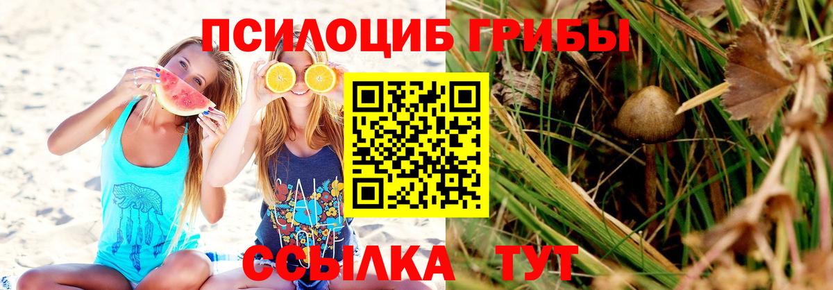 Псилоцибиновые грибы Psilocybine cubensis  Вход с VPN  Кострома 