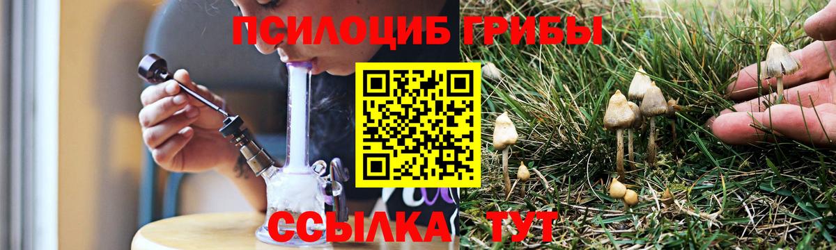 Псилоцибиновые грибы Psilocybine cubensis Кострома